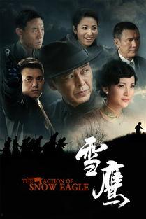 雪鹰在线观看,在线观看，探寻冬日雪域的神秘之旅
