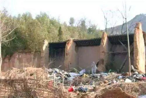 罪爱杨锁在线观看,一场禁忌之恋的悲歌  第1张